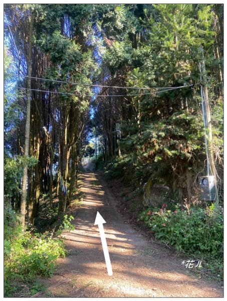 逐鹿古道、雨社山(南投、魚池)2667416