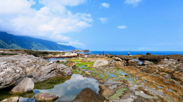 洄瀾東海岸3006684