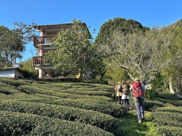 溪頭六連峰O繞2741742