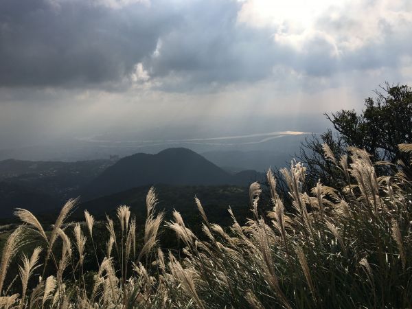 106/10/29七星山主東峰201664