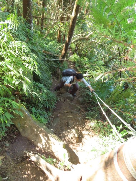 仙山登山步道O形走+小百岳No.33仙山2715842