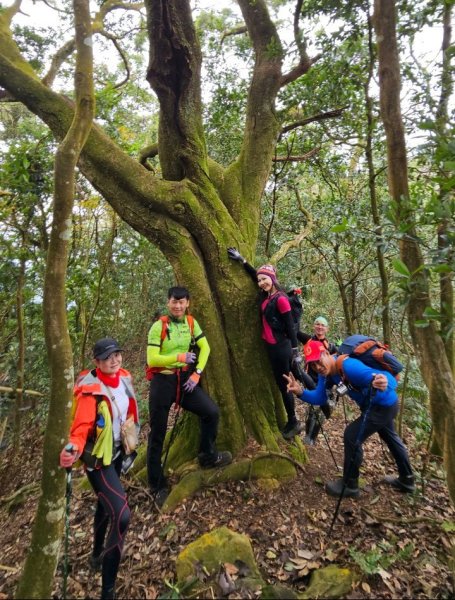 【苗栗郊山聖稜線】仙神象18連峰大縱走2676007