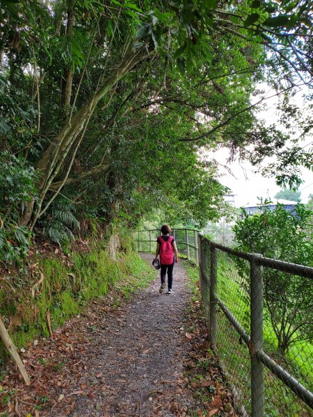 【南投|貓囒山】1049752