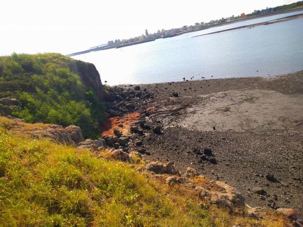 雁情嶼（本島）2879606