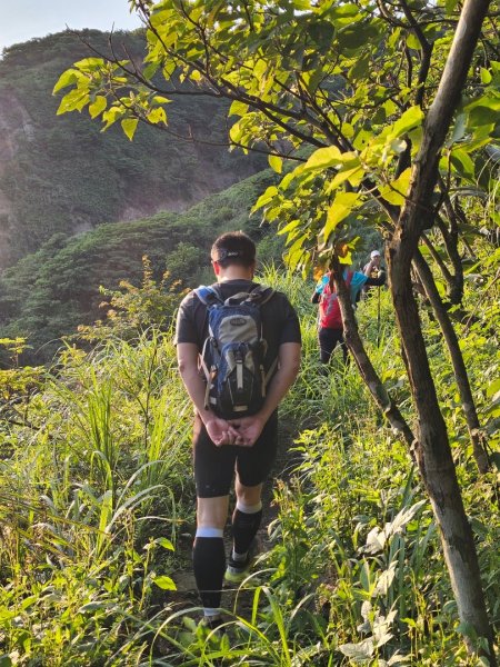 新北 瑞芳 無言的山丘2788504