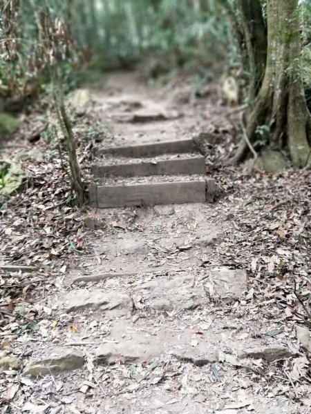 步道巡訪員 l 白毛山步道11月巡訪日誌1158446