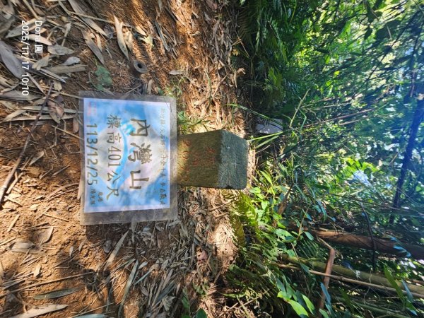 20251117新竹內灣三山四峰(內灣山.麥樹仁山南峰.麥樹仁山.白石湖山)2939888