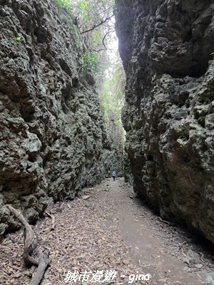【高雄田寮】小百岳大崗山x大崗山磐龍峽谷步道3013149