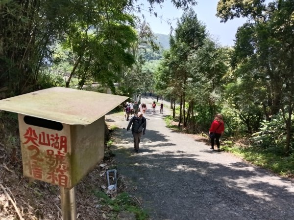 石門區嵩山百年水梯田鳶尾花祭+阡陌步道2763517