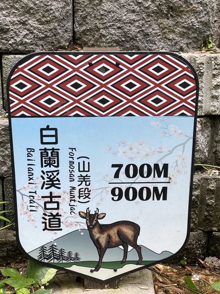 20250705-Ep.02白蘭溪古道-2025森遊竹縣皮皮獅探險隊2851385