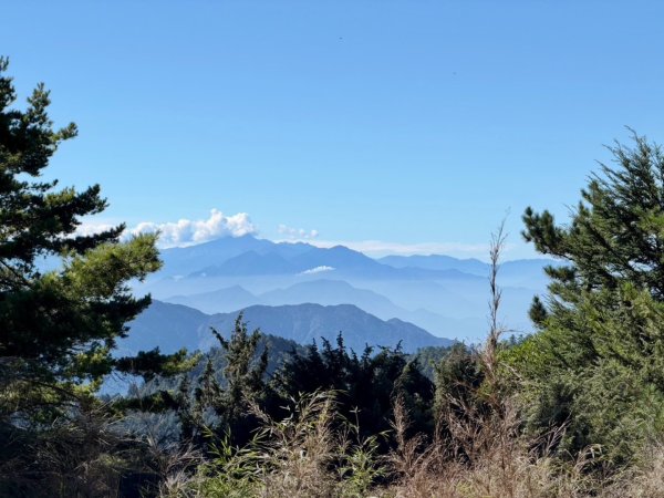 大雪山 小雪山防火巷 小雪山前峰O繞3132375
