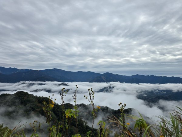 馬那邦山之雲海／雲瀑／楓紅／太陽琉璃光2676354