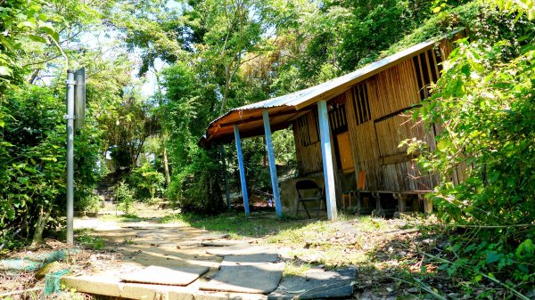 三汀山,苗圃,蝙蝠洞2787353