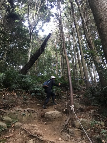 登山野營兩相宜~高島縱走1488833