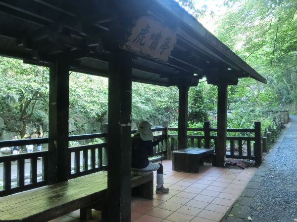 虎山親山步道166763