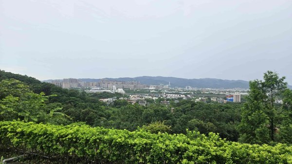 20250612溪南尖-主公山2810072