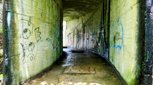 微笑山線和美山螢火蟲段2845899