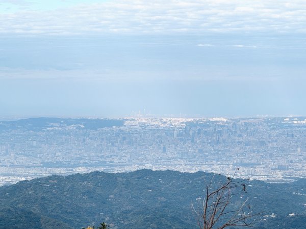 走大橫屏山九份二山(小百岳#45、47)賞梅去2695068