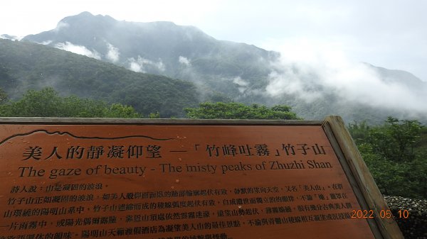 金山八景之竹峰吐霧-美人的靜凝仰望-竹子山(美人山)5/10-12三天1707923