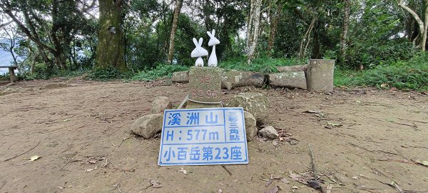2025/07/19-大艽芎古道上溪洲山O型2841556