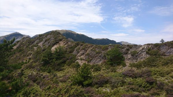 合歡北峰+小溪營地318264