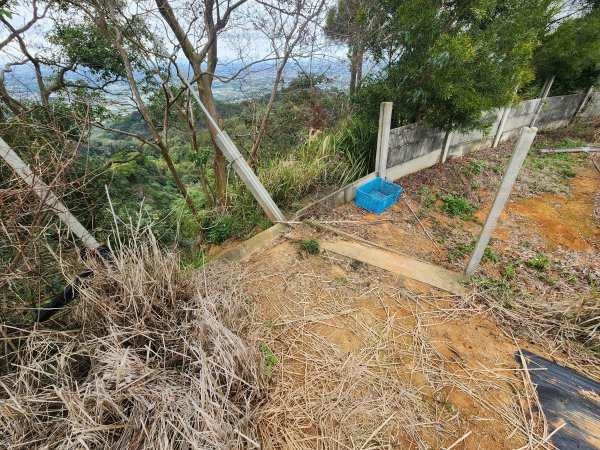 20250223田中大小劍與橫山2939839