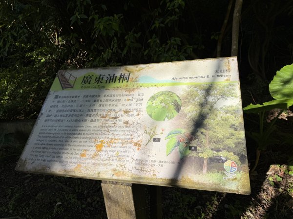 [淡蘭古道] 2026_0315 南路第二段_外按古道3016400