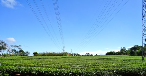 20201112仁和步道 金獅古道1496007