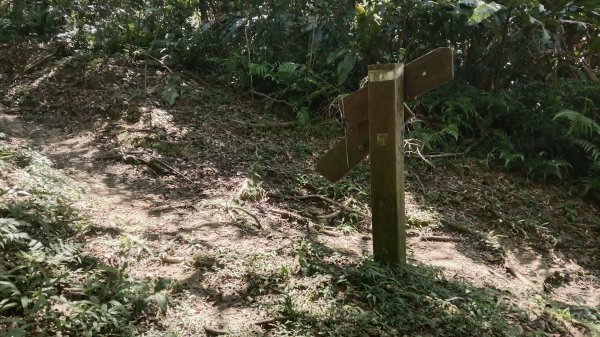 雙溪瑞芳區三貂嶺車站-幼坑古道-魚寮山-頂坑山-大煙囪-尪子崙坑-牡丹車站3128506