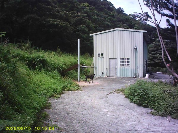 我音四連峰縱走3109031