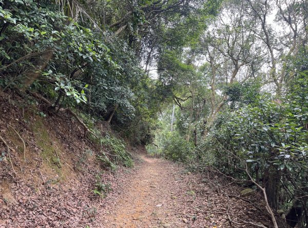 [皮皮獅探險隊-04/10] 2025_0706 三段崎古道2831752