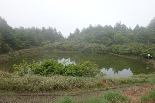 阿興阿賢雪山神木天池步道582025