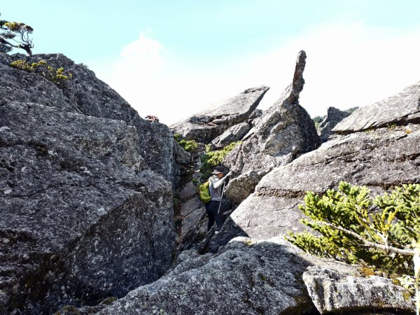 北一段(09/14)南湖東南峰 2025_0906~132887060