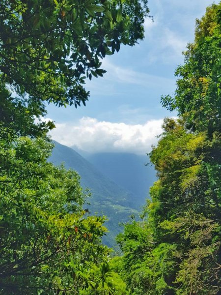 20180419谷關七雄老四波津加山559456