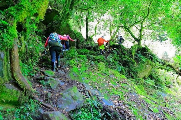 【路線】5條阿里山鐵軌步道