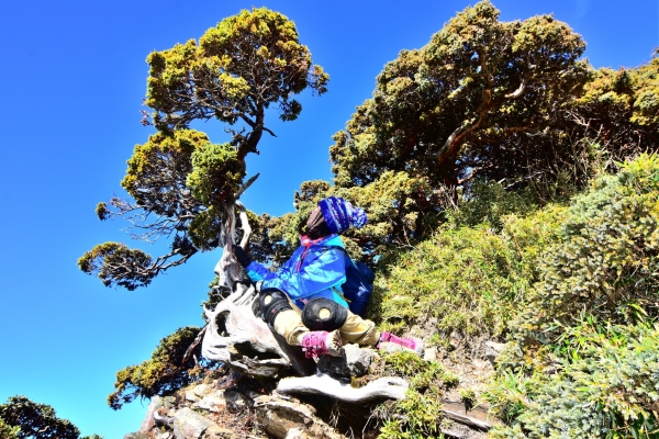 合歡東峰 105.12.18(日) 80863