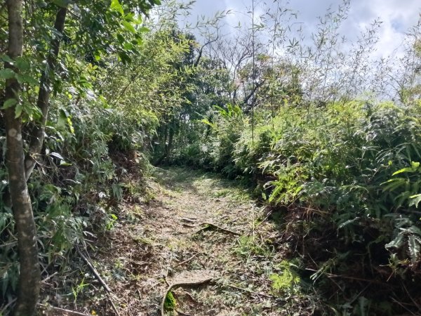 貢寮區大嶺古道+大石壁坑山+龍字碑+五酒桶山+龍崗山2948293