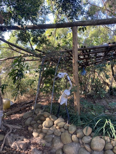 大肚萬里長城步道2973915