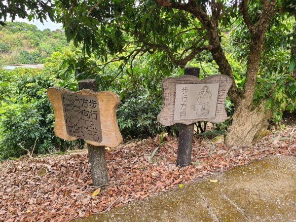 金螢寶山貴妃道2703225