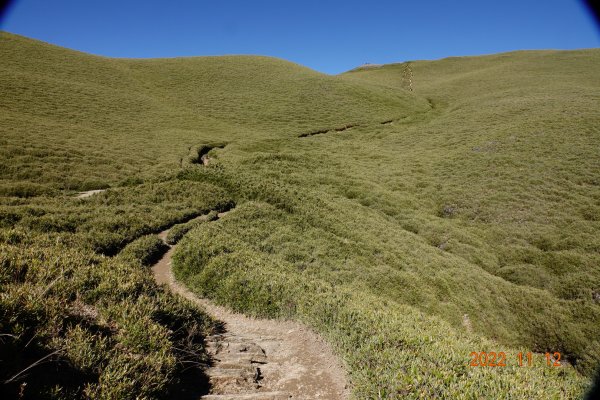 南投 仁愛 奇萊南峰1911842