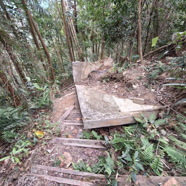 【小百岳52】後尖山完成!2705877