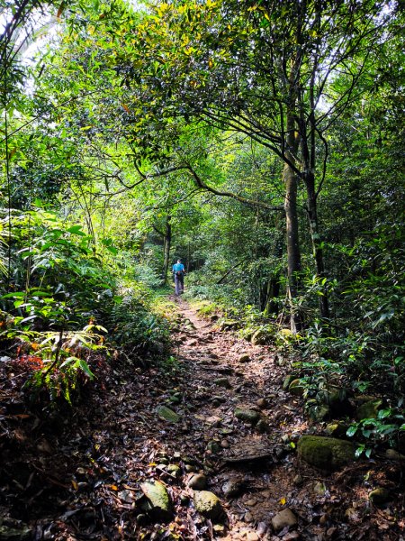 2025-04-27 三員縱走2772053