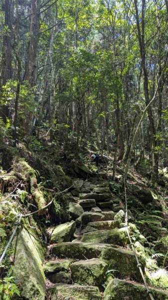 橫沙笛縱走 (木馬古道、橫嶺山、沙蓮山、笛吹山)2550376