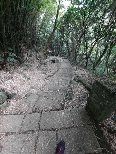 20230722 頂山石梯嶺縱走坪頂古圳，聖人瀑布2227235