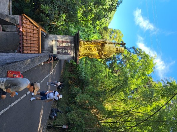 2026微笑山線大湖之森步道，百年榕樹段，405高地段3104301
