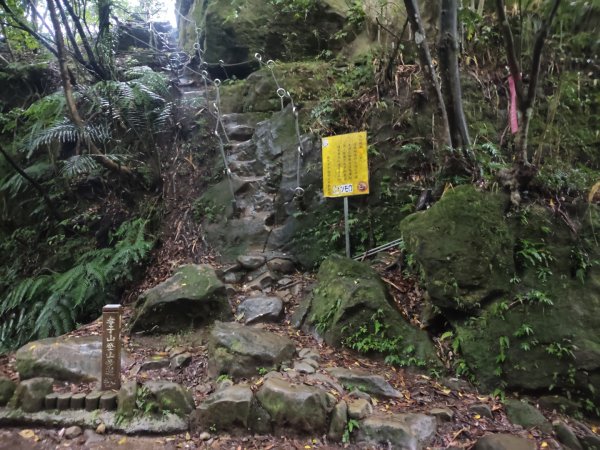 微笑山線：【五分山系】平溪小黃山段2955005