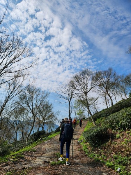 【中級山】邑治第一山，守城大山，連走守關山，守關山南峰2740893
