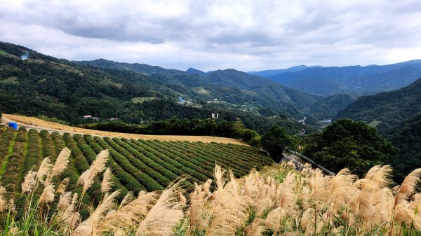 皇帝殿，坪林獅公髻尾山，文山指南宮千階步道（竹柏參道），十六分山，貓空尖，絹絲瀑布步道1971289