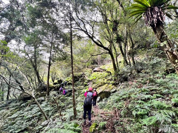 福巴越嶺國家步道2364486