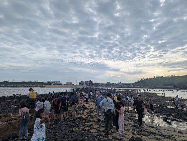 2026.08.15－奎壁山自然步道3110493